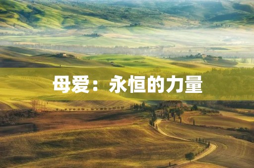 母爱:永恒的力量 母爱:永恒的力量