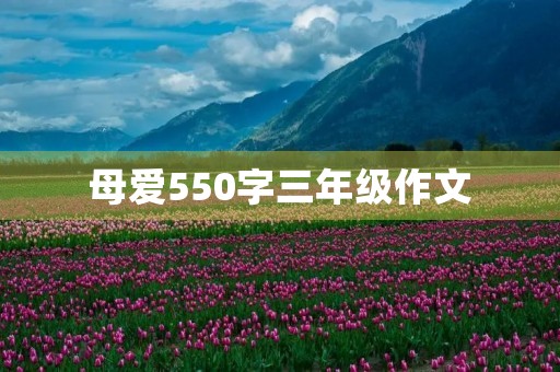 母爱550字三年级作文