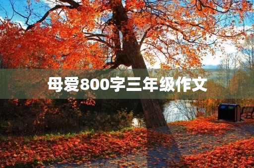 母爱800字三年级作文
