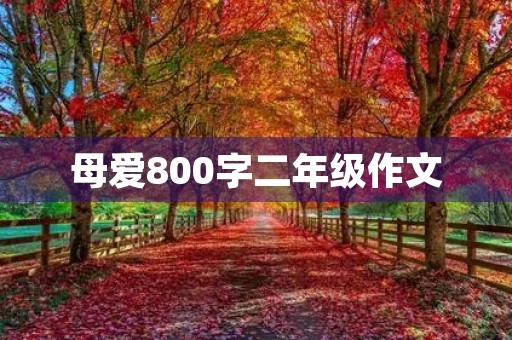 母爱800字二年级作文 母爱800字二年级作文