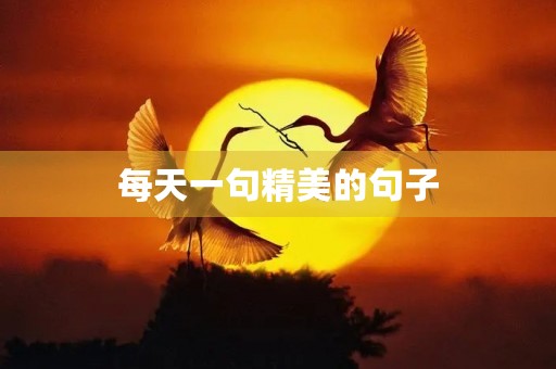 每天一句精美的句子(每天一句精美的句子一年级的) 每天一句精美的句子(每天一句精美的句子一年级的)