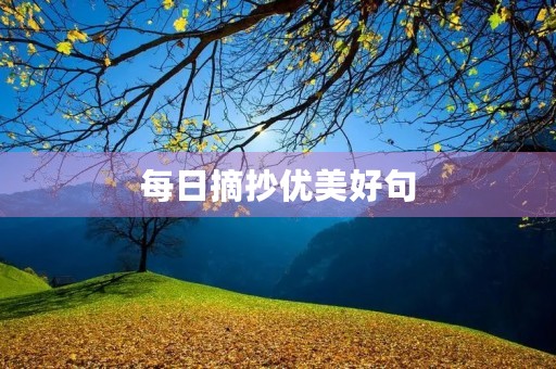 每日摘抄优美好句(每日摘抄优美好句四年级)