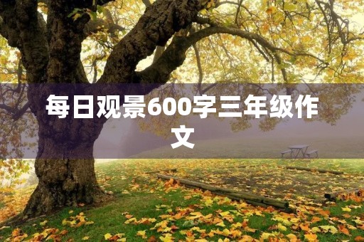 每日观景600字三年级作文