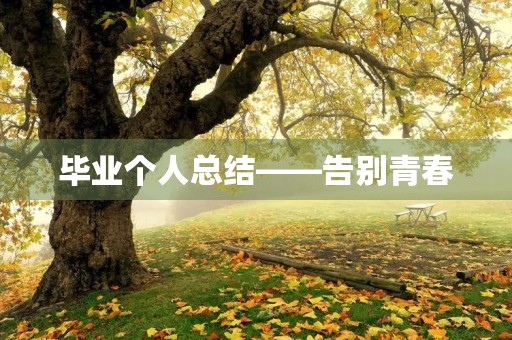 毕业个人总结——告别青春,迎接未来 毕业个人总结——告别青春,迎接未来