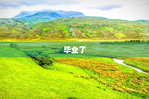 毕业了,我的初三生活 毕业了,我的初三生活
