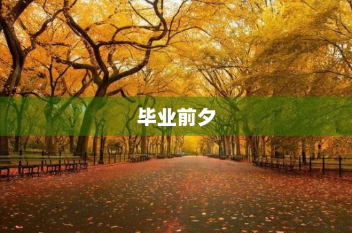毕业前夕,我的成长与收获 毕业前夕,我的成长与收获