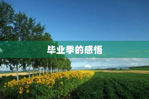 毕业季的感悟 毕业季的感悟