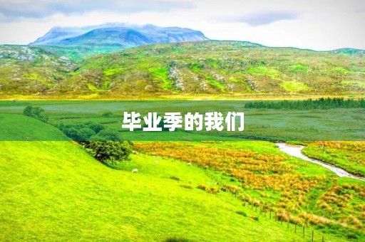 毕业季的我们 毕业季的我们