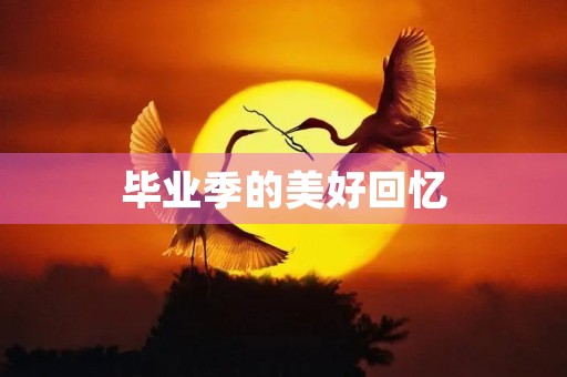 毕业季的美好回忆 毕业季的美好回忆
