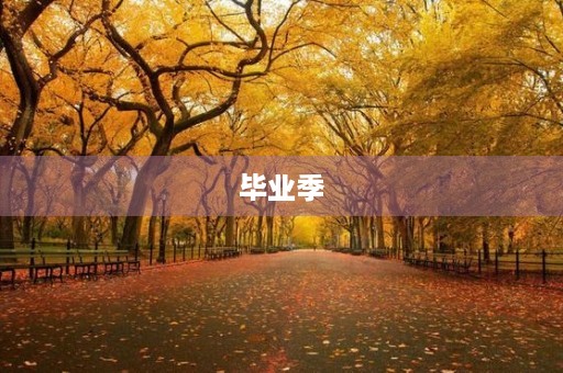 毕业季，送给初三学生的作文大全