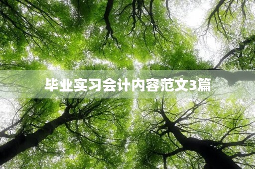 毕业实习会计内容范文3篇