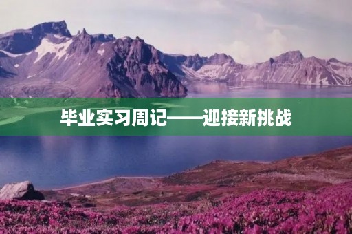 毕业实习周记——迎接新挑战