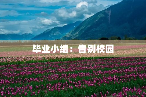 毕业小结：告别校园，迎接未来