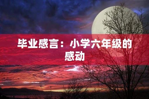 毕业感言：小学六年级的感动