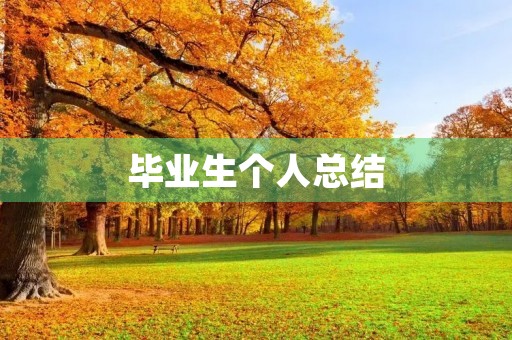 毕业生个人总结
