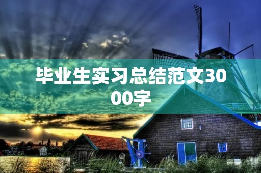 毕业生实习总结范文3000字