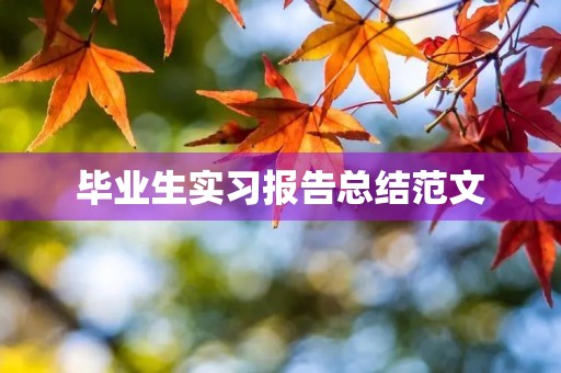 毕业生实习报告总结范文 毕业生实习报告总结范文