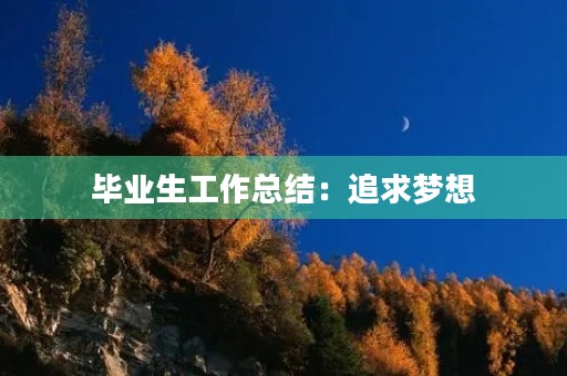 毕业生工作总结：追求梦想，勇攀高峰