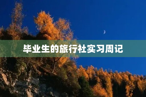 毕业生的旅行社实习周记