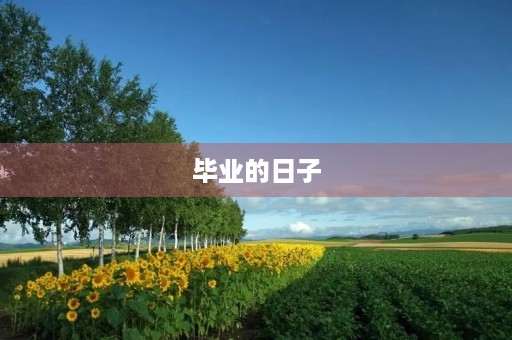 毕业的日子，我该如何面对？