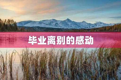 毕业离别的感动 毕业离别的感动