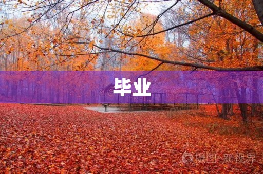 毕业，我怀念你