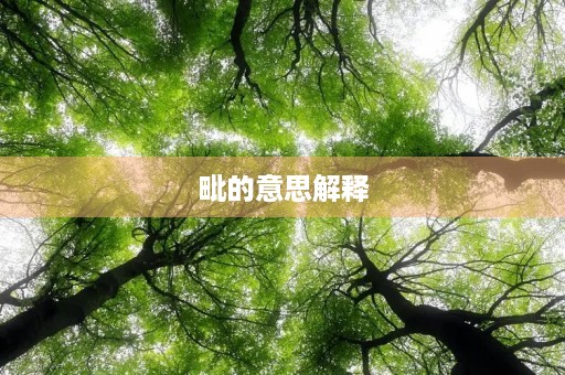 毗的意思解释(毗)