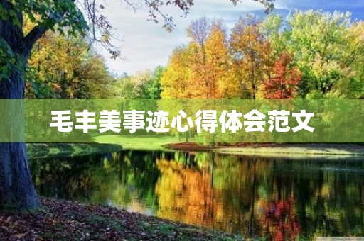 毛丰美事迹心得体会范文
