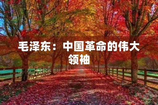 毛泽东：中国革命的伟大领袖