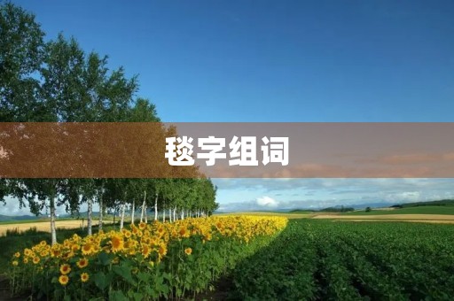 毯字组词(毯组词)