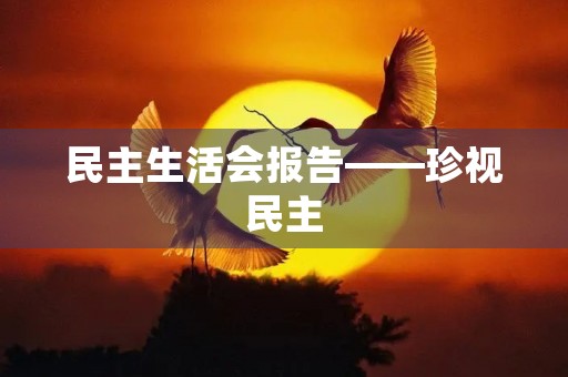 民主生活会报告——珍视民主,促进发展 民主生活会报告——珍视民主,促进发展