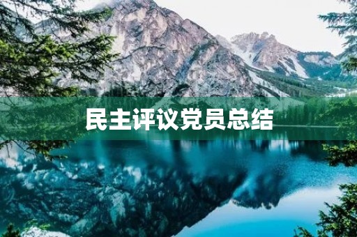 民主评议党员总结 民主评议党员总结