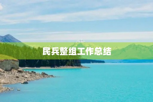 民兵整组工作总结