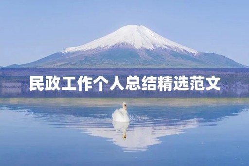 民政工作个人总结精选范文