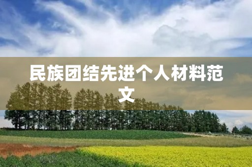 民族团结先进个人材料范文