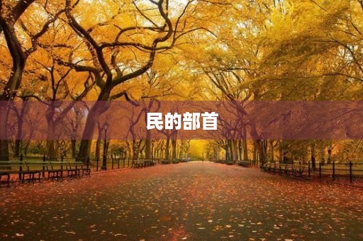 民的部首(民的部首是什么) 民的部首(民的部首是什么)
