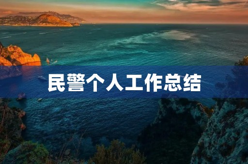民警个人工作总结
