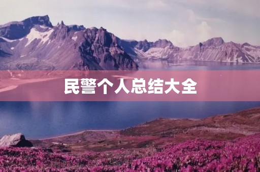 民警个人总结大全