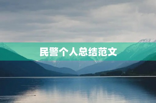 民警个人总结范文