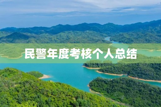 民警年度考核个人总结