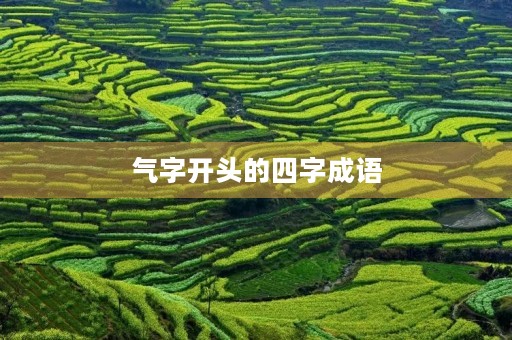 气字开头的四字成语 气字开头的四字成语