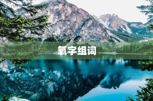 氧字组词(氧组词)