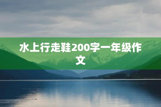 水上行走鞋200字一年级作文