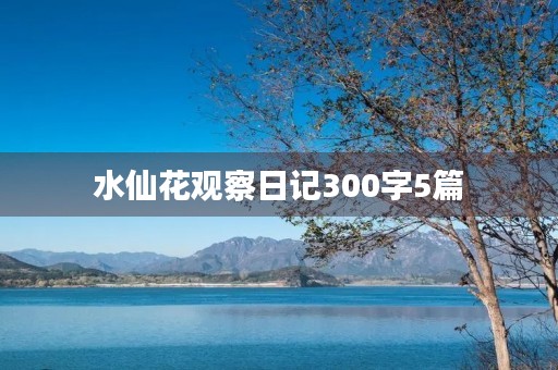 水仙花观察日记300字5篇 水仙花观察日记300字5篇