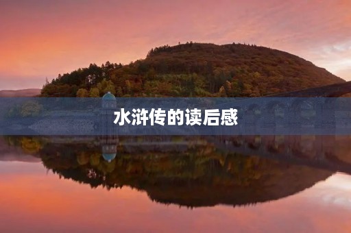 水浒传的读后感 水浒传的读后感