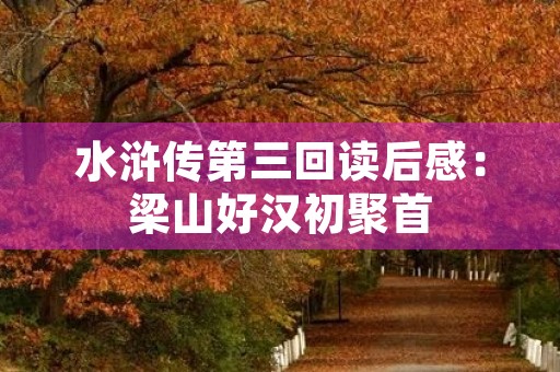 水浒传第三回读后感:梁山好汉初聚首,浪迹天涯的人生选择 水浒传第三回读后感:梁山好汉初聚首,浪迹天涯的人生选择