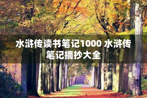 水浒传读书笔记1000 水浒传笔记摘抄大全