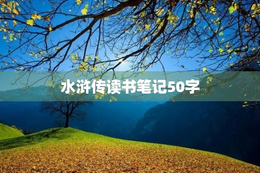 水浒传读书笔记50字
