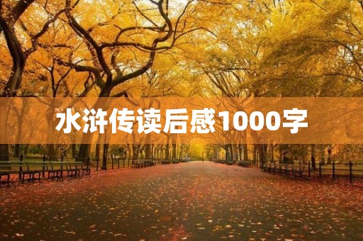 水浒传读后感1000字