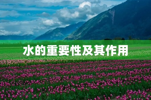 水的重要性及其作用